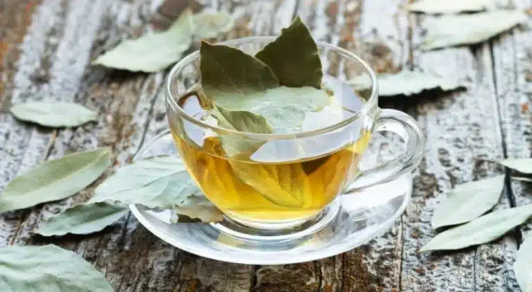 Mastering Bay Leaf Tea: Benefits, Recipes & Brewing Tips for Ultimate Flavor