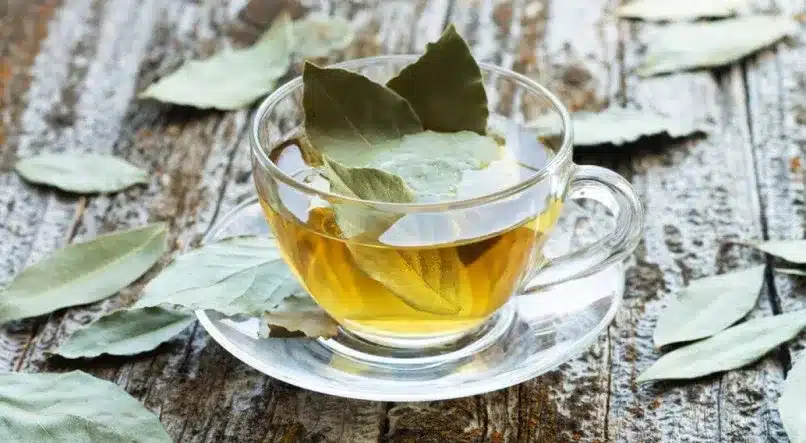 Mastering Bay Leaf Tea: Benefits, Recipes & Brewing Tips for Ultimate Flavor