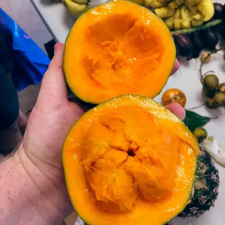 Discover the Zapote: Colombia’s Sweet Secret Fruit