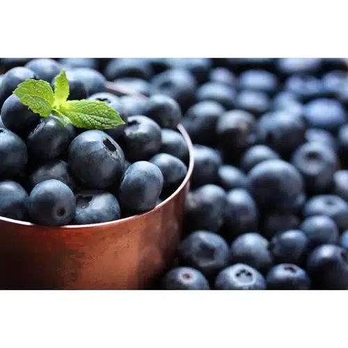 Blueberry Concentrate Improves Brain Function in Older People