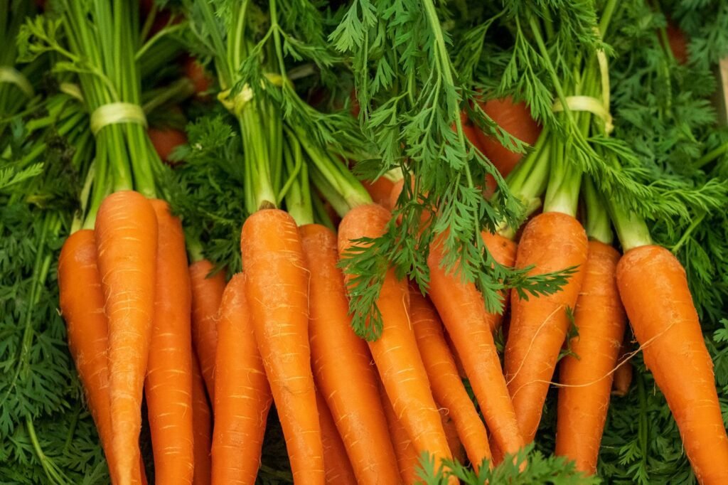 izq1fv87qpm 1024x682 - Climate Friendly Food Choices: Boost Health, Save Costs!